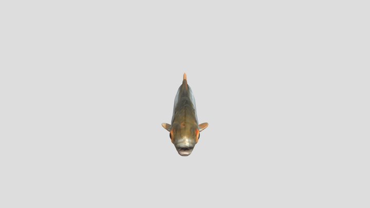 Silver Swimmer 3D Model