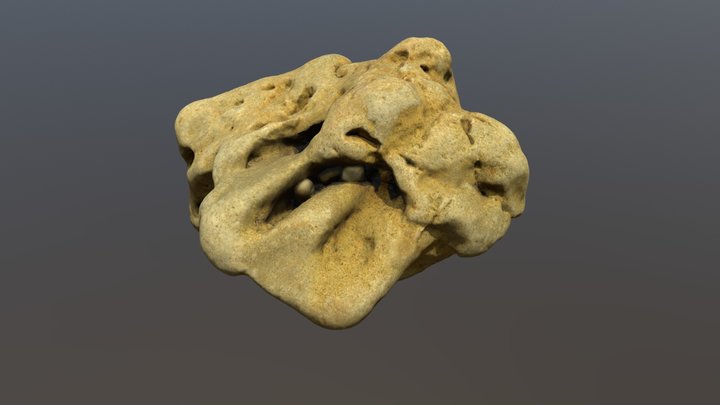 Blobfish Stone 3D Model