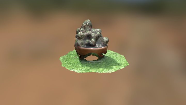 Cactus 3D Model