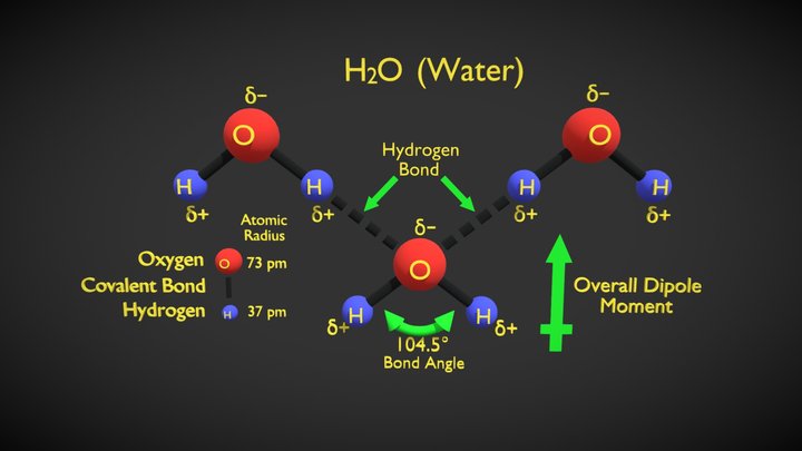 Chem_ Covalent_ Molecular 3D Model