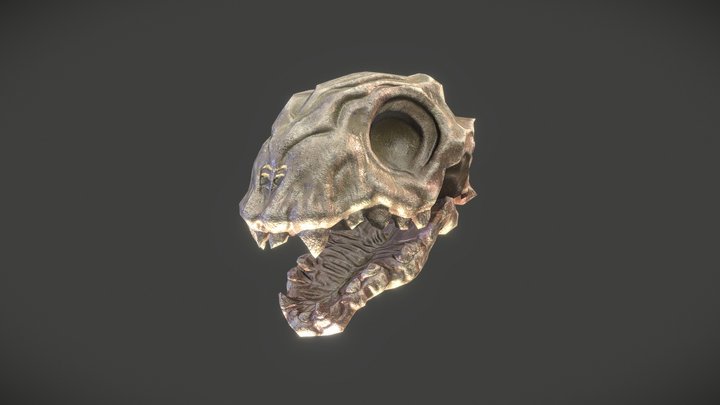 animal skull 3D Model