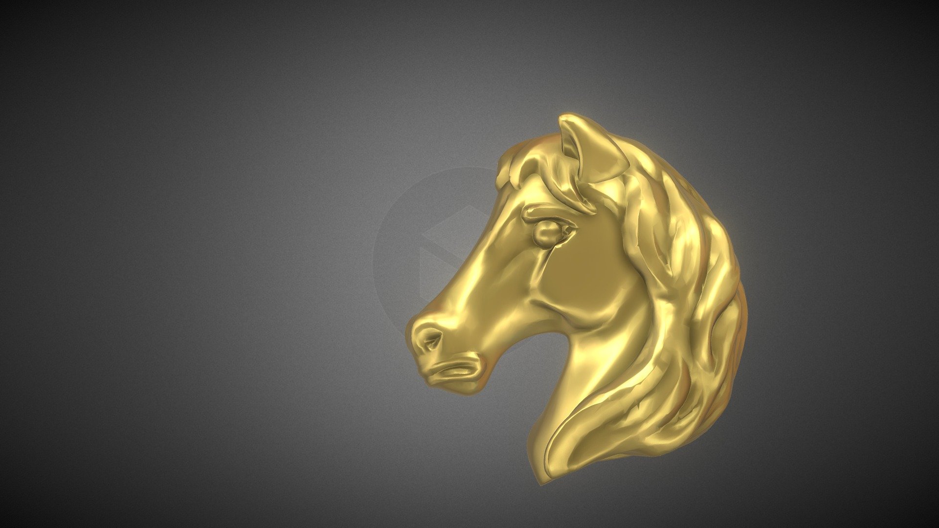 Tête de cheval