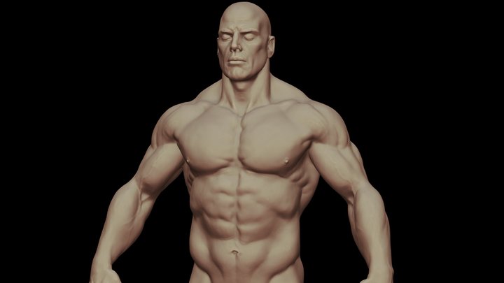 Torso Man 3D Model
