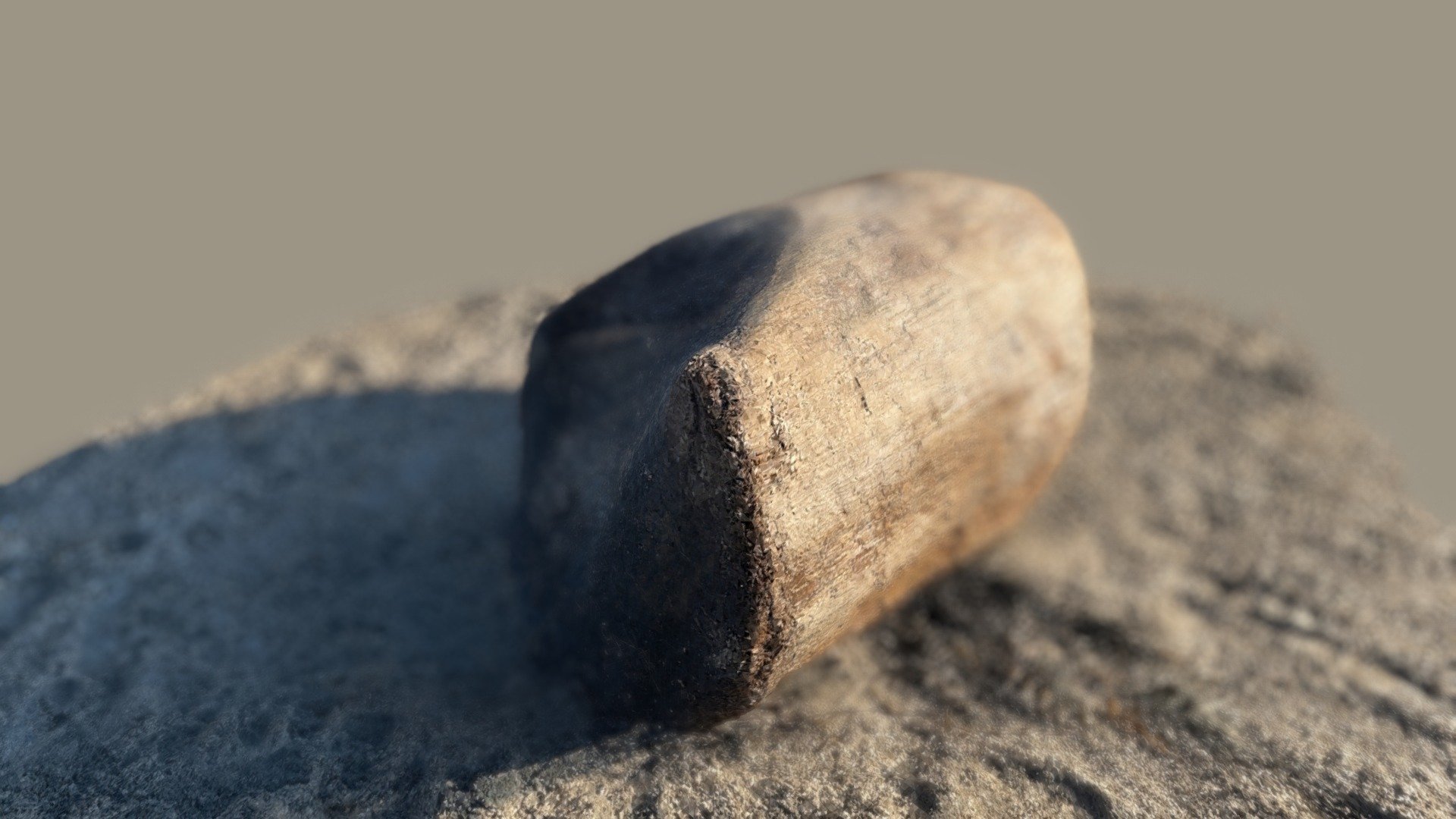 Scan of log on the beach