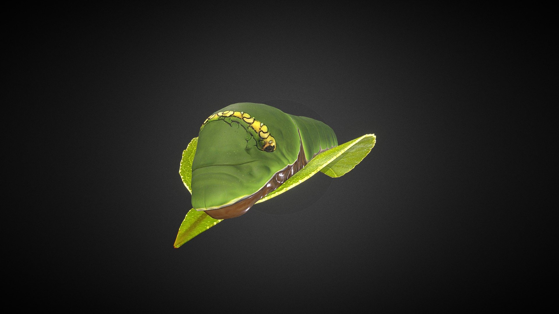 Spicebush swallowtail caterpillar