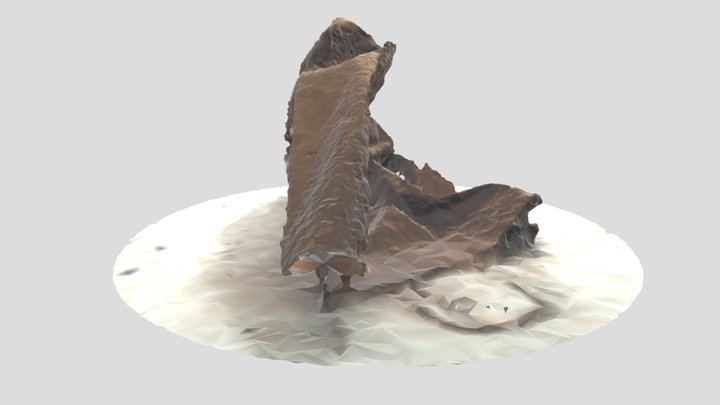 B2 3D Model