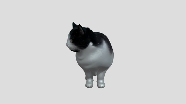 58a67eb61467b88fc8c06b68ec5e9aaa 3D Model