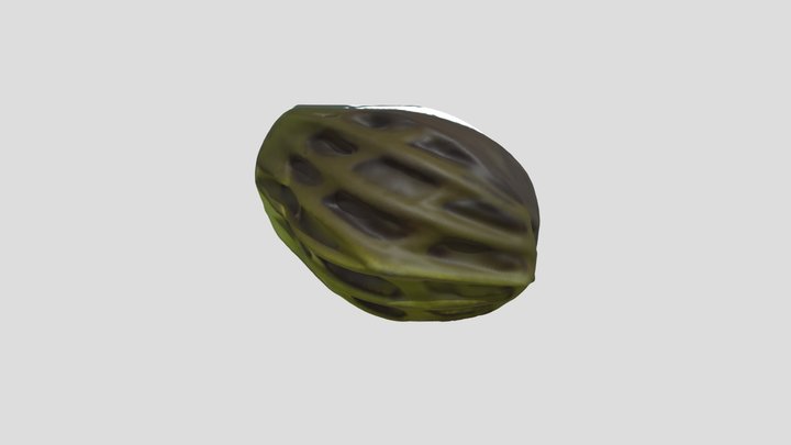 bicycle helmet