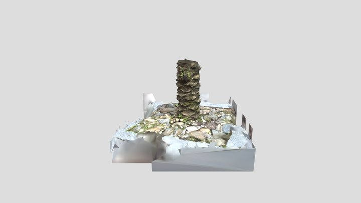 palm tree base scan 3D Model