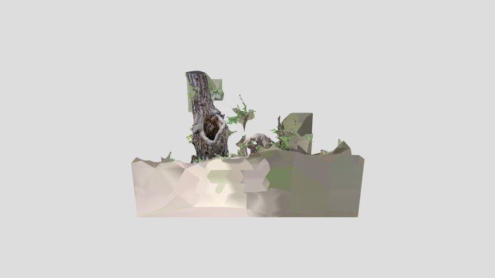 Tree Holes @ Roxboro 3D Model
