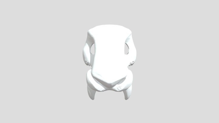 Feline Skull Replica 3D Model