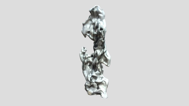 Metascan_20241010-1001 3D Model