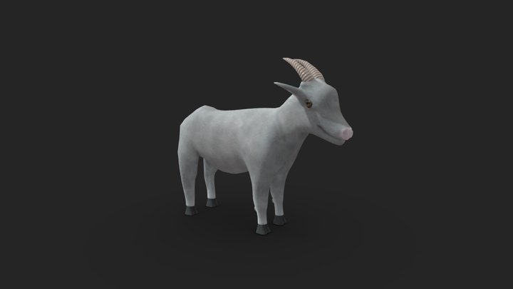 Goat 🐐 3D Model