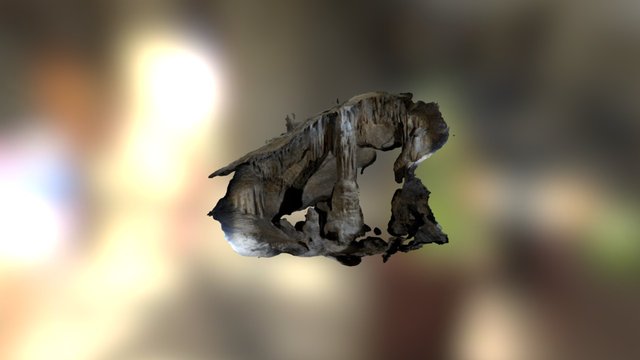 The Column - Jones Quarry Cave, WV 3D Model
