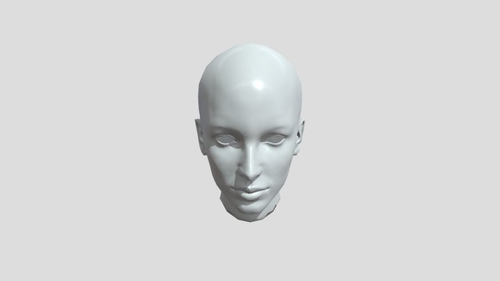 face uv obj 3D Model