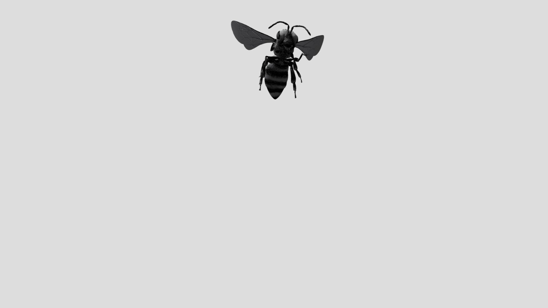 Animated Bee Flying Landing - sketch texture - Download Free 3D model ...