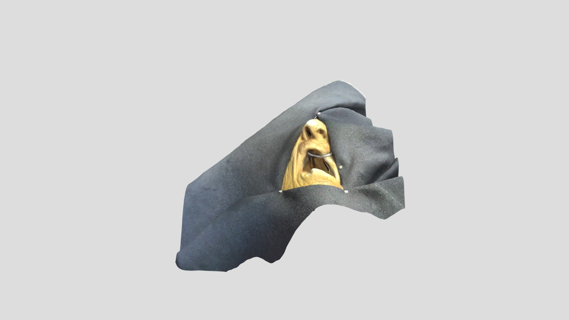Transoral Approach Bone Exposure - 3D model by Istanbul ...