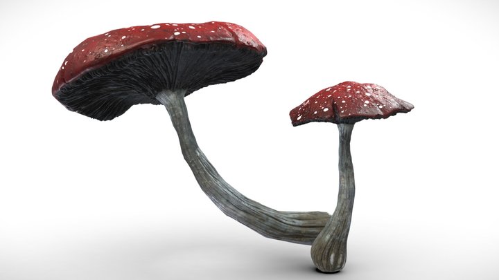Alien Fantasy Poisonous Mushroom 3D Model