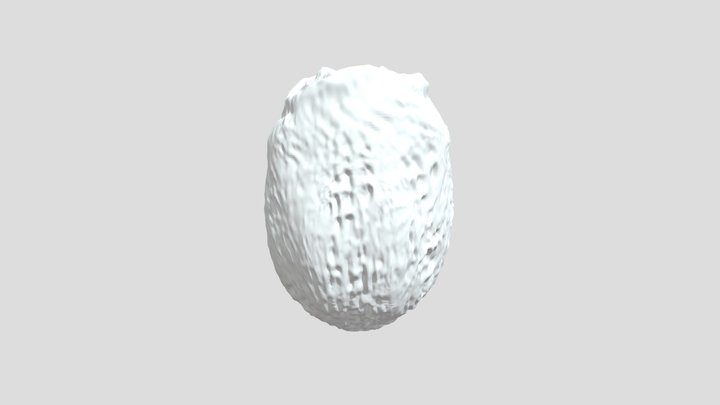 Alien Egg 3D Model