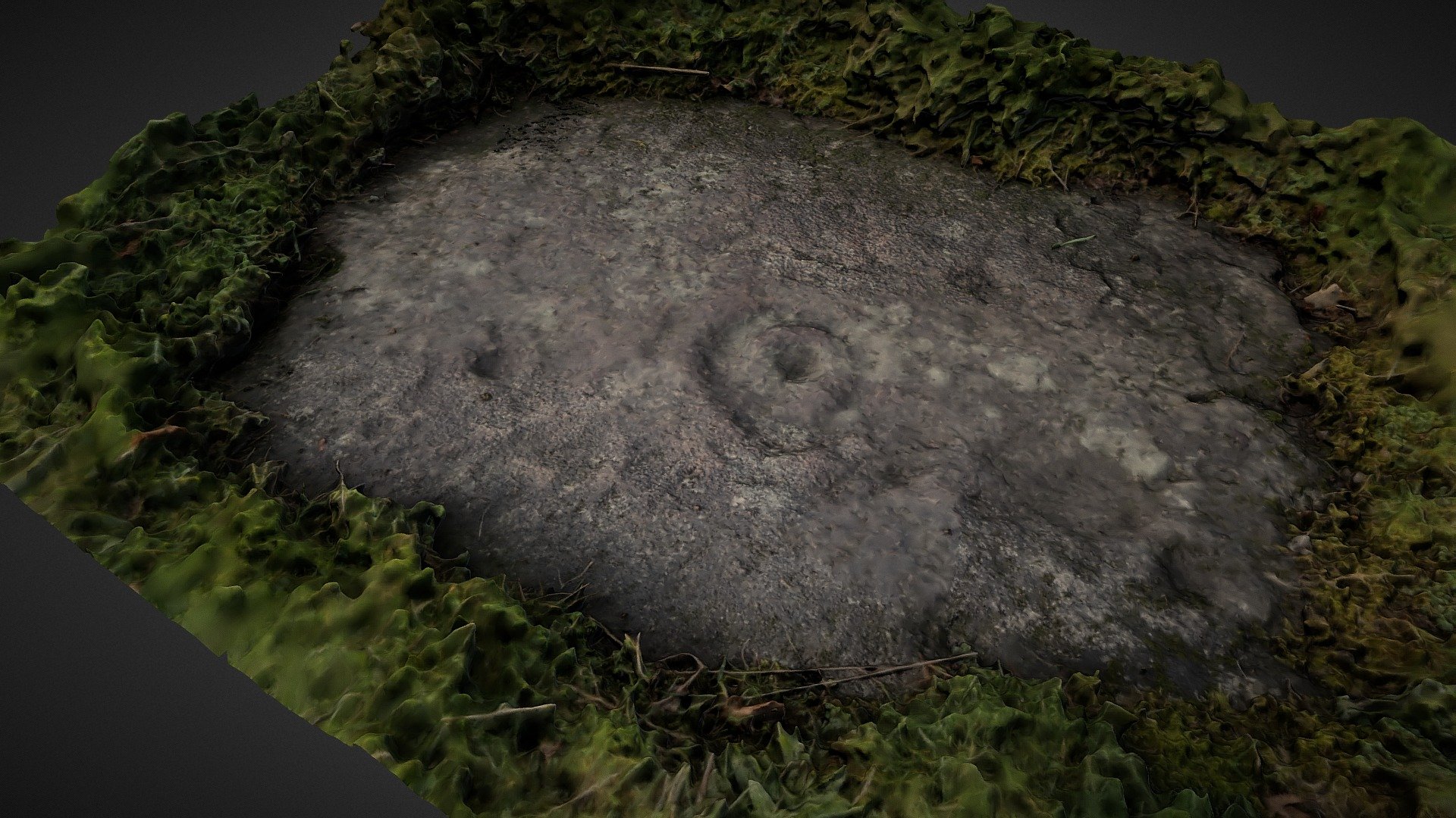 Cup and ring marked stone, King's Park, Stirling
