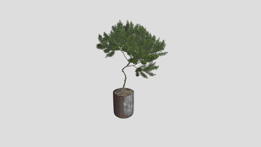 Indoor Plant Joy Perfume