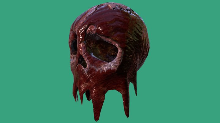 Free Asset: Meaty Skull 3D Model