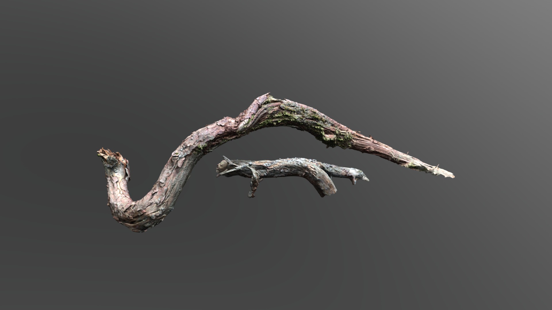 3D model 3D Scan Nature Asset 0005 - This is a 3D model of the 3D Scan Nature Asset 0005. The 3D model is about a branch with ice on it.