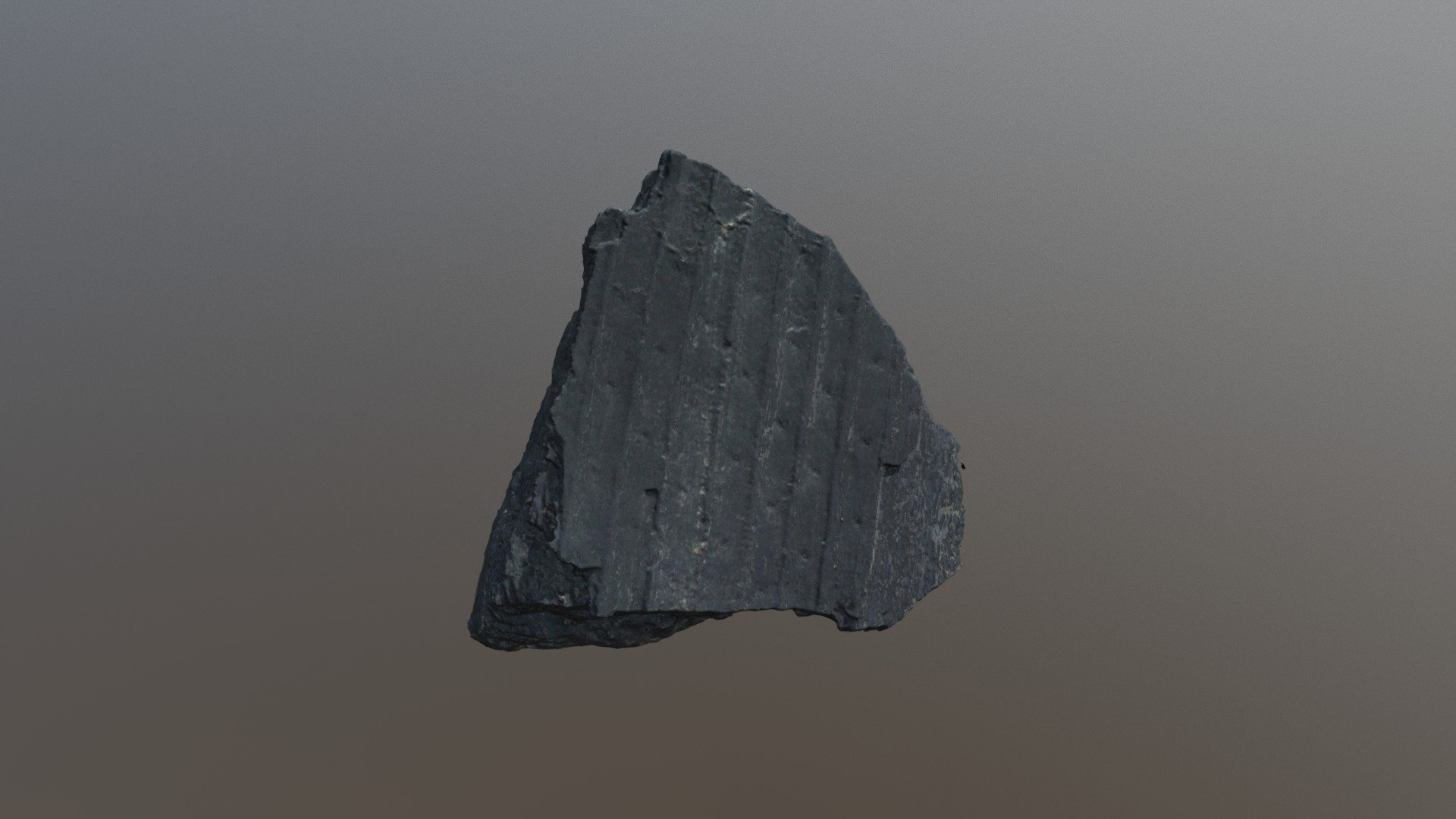 Lepidodendron fossil (VCU_3D_3005)