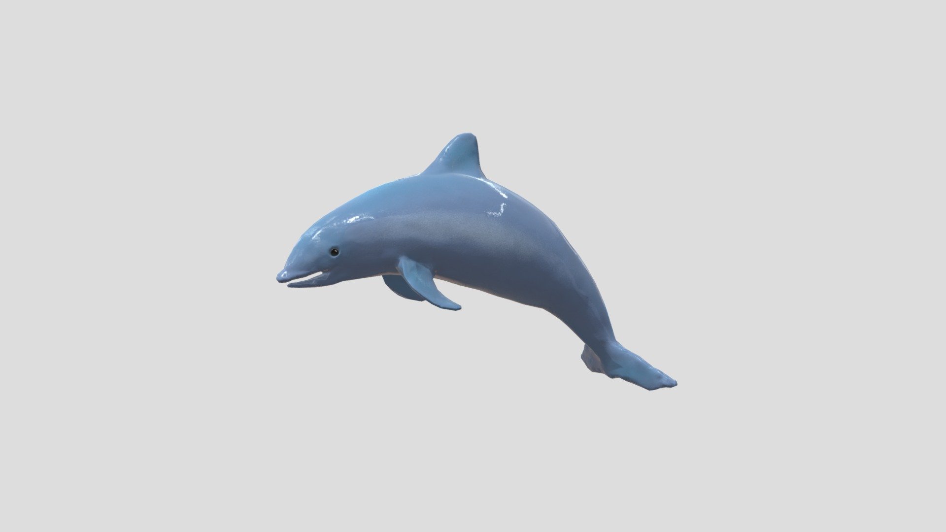 Delfin