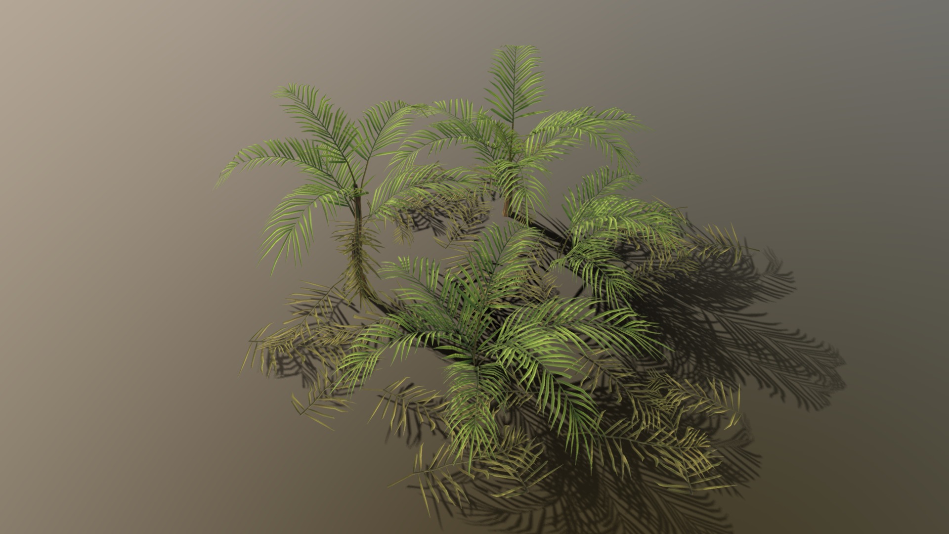 3D model Palm - This is a 3D model of the Palm. The 3D model is about a plant with leaves.