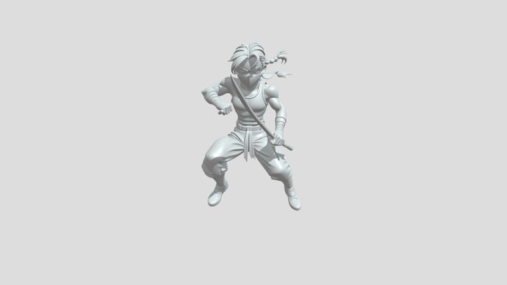 Person wielding two swords in battle stance 3D Model