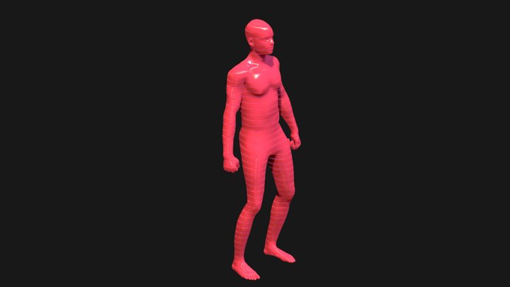 Standing Slices 3D Model