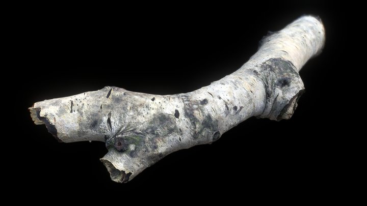 Wood Stick 10 – Gratis 3D-model STL