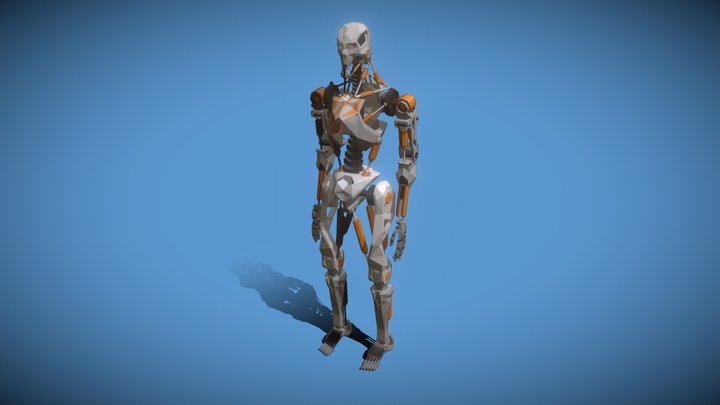 Endoskeleton 3D Model