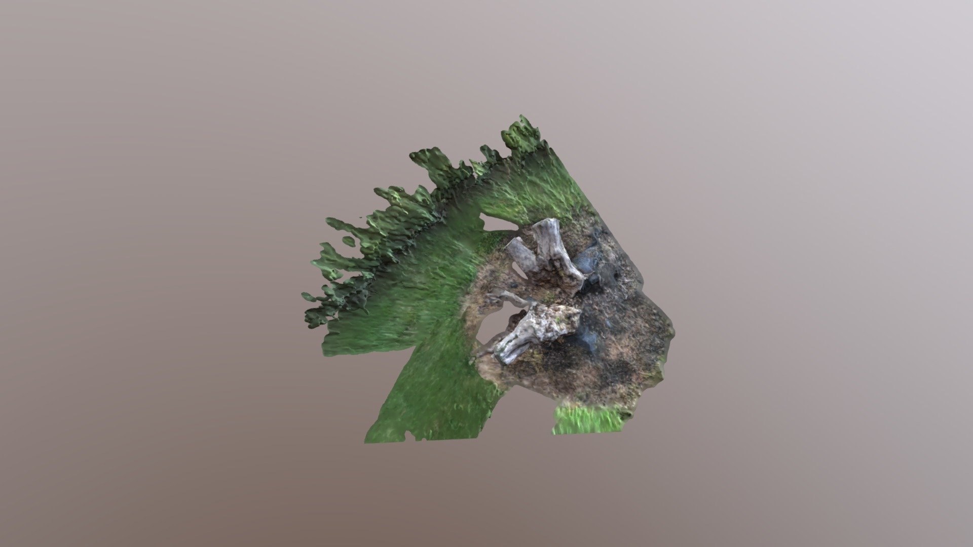 Log UV