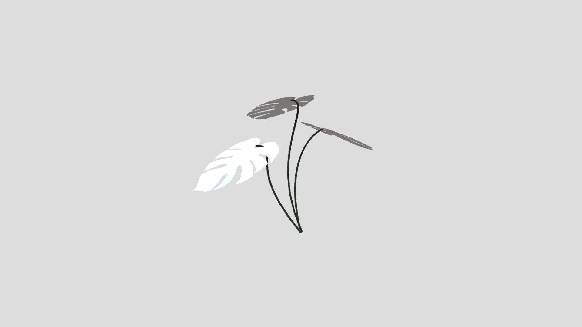 billo-monstera