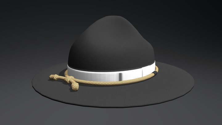 Campaign Hat (Dark Grey) 3D Model