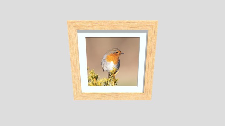 Beech Wood Picture Frame with a Robin 3D Model