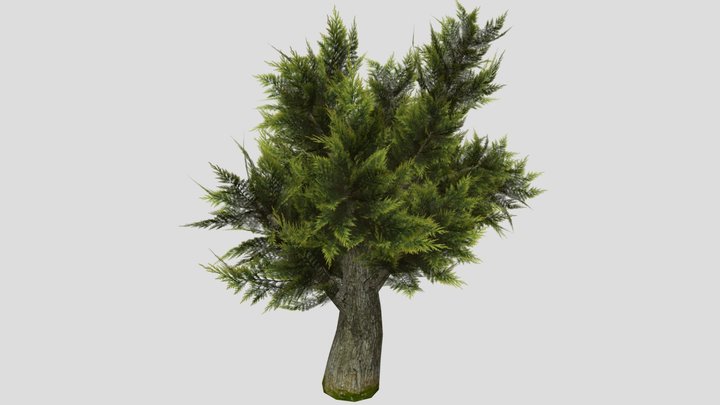 tree 3D Model