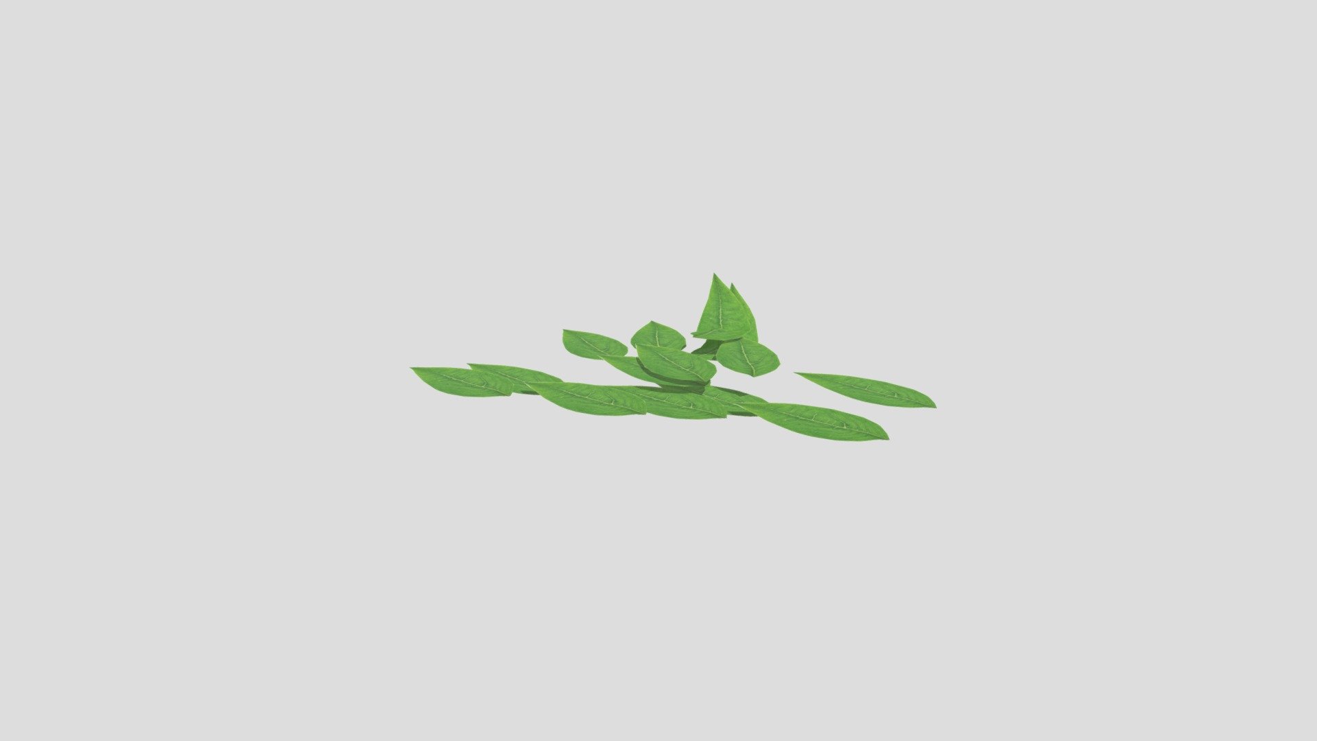 Animated Leaf3 - 3D model by TechyToni [0b9535c] - Sketchfab