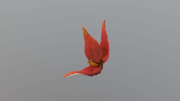 My magnificent 3D asset 3D Model