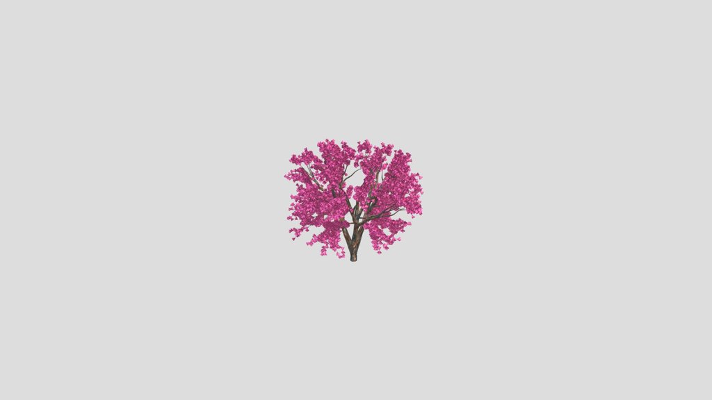 Magnolia Tree