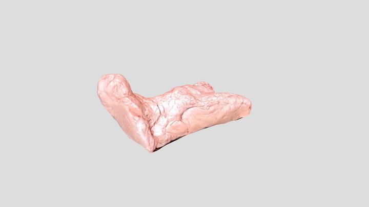 c 3D Model