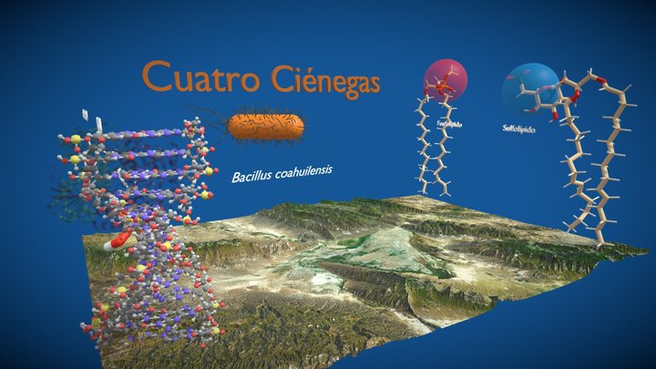 Cuatro Cienegas