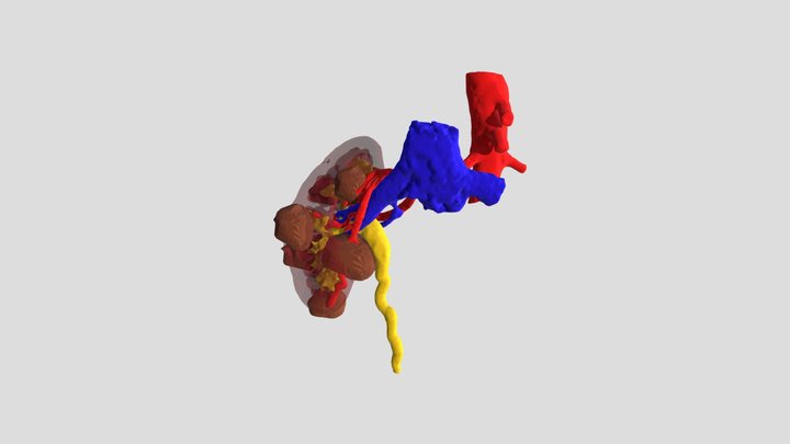 Kidney for Robotic Surgery 3D Model