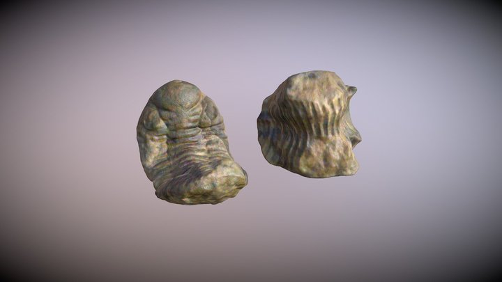 ITM.P.I.TR.001. 3D Model