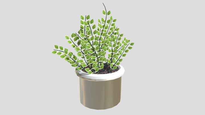 Walters_Alia_0035800443_Wk8_plant 3D Model