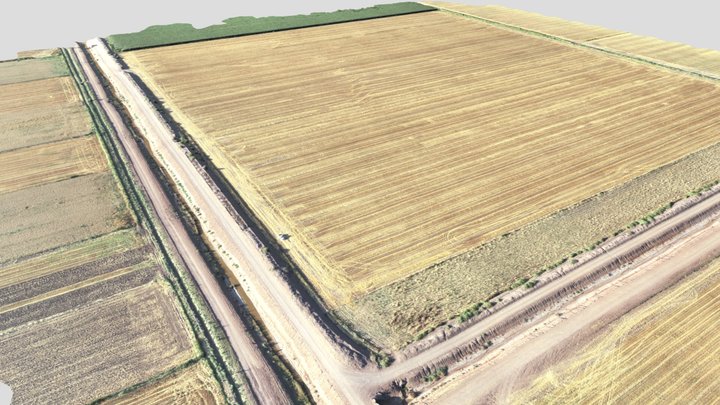 Modelo de terreno de cultivo 3D Model