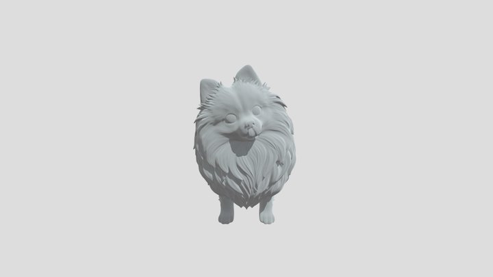 Pomeranian dog very cute 3D Model
