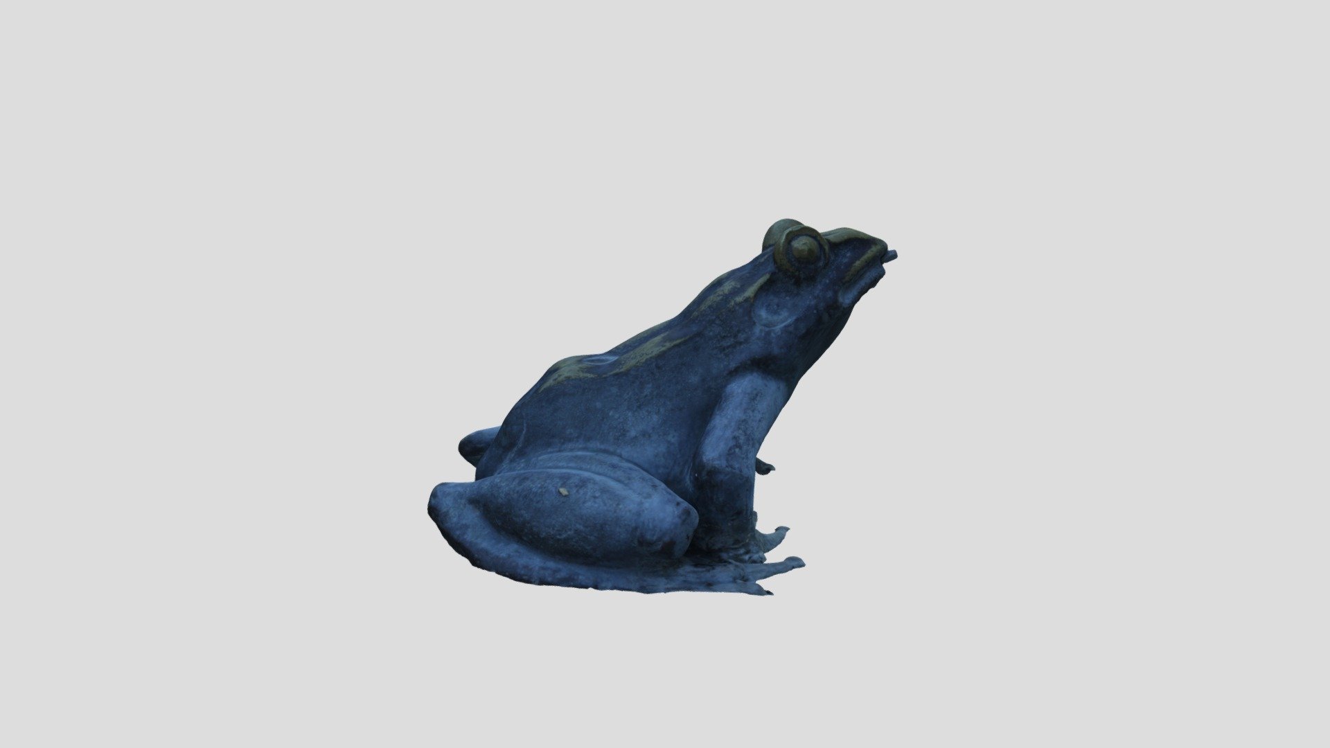 METASHAPE_FROG_PROCESSED